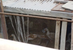 ?????????????????????????