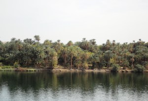 ?????????????????????????